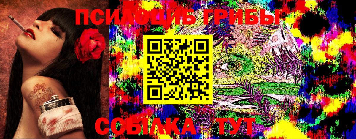 Галлюциногенные грибы MAGIC MUSHROOMS  Вход с VPN  Урюпинск 
